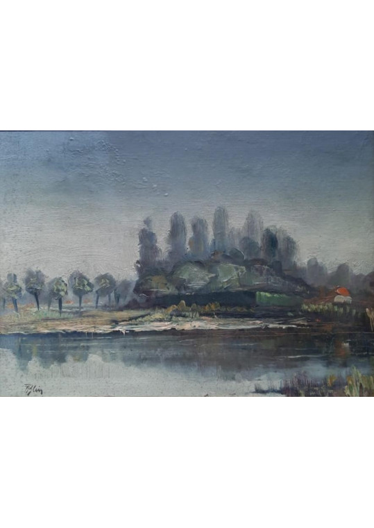 Nicolae Blei